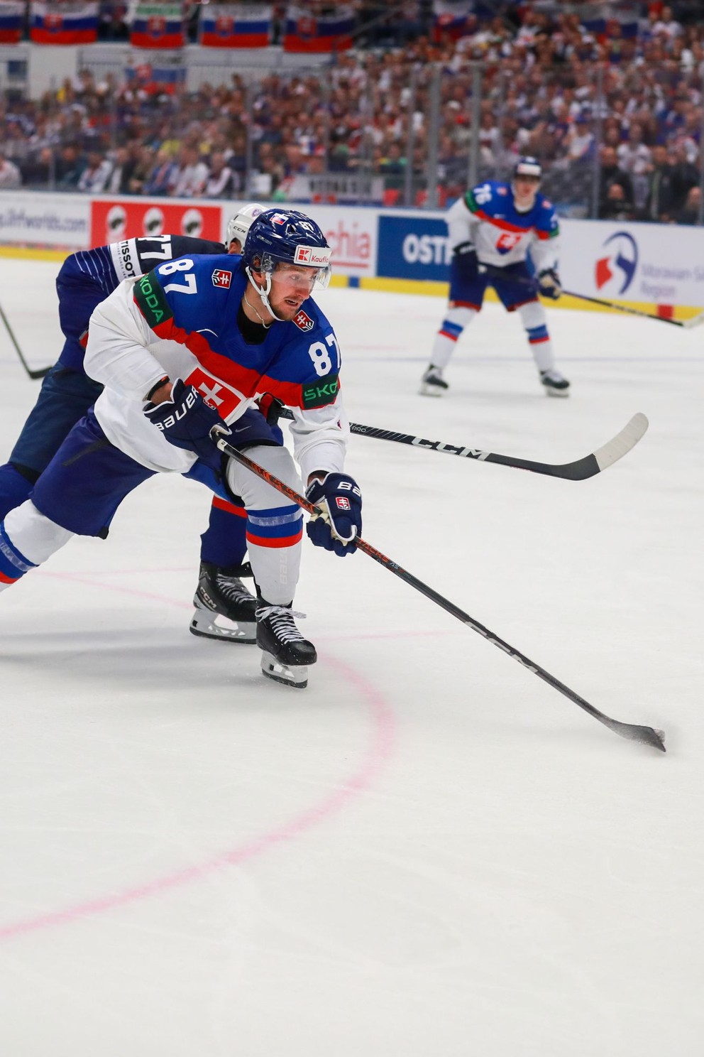 Pavol Regenda v zápase Slovensko - Francúzsko na MS v hokeji 2024.