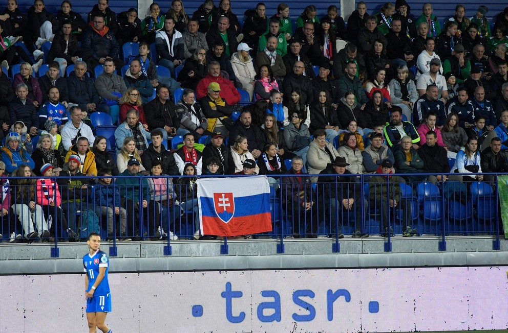 Fanúšikovia Slovenska v zápase proti Walesu.