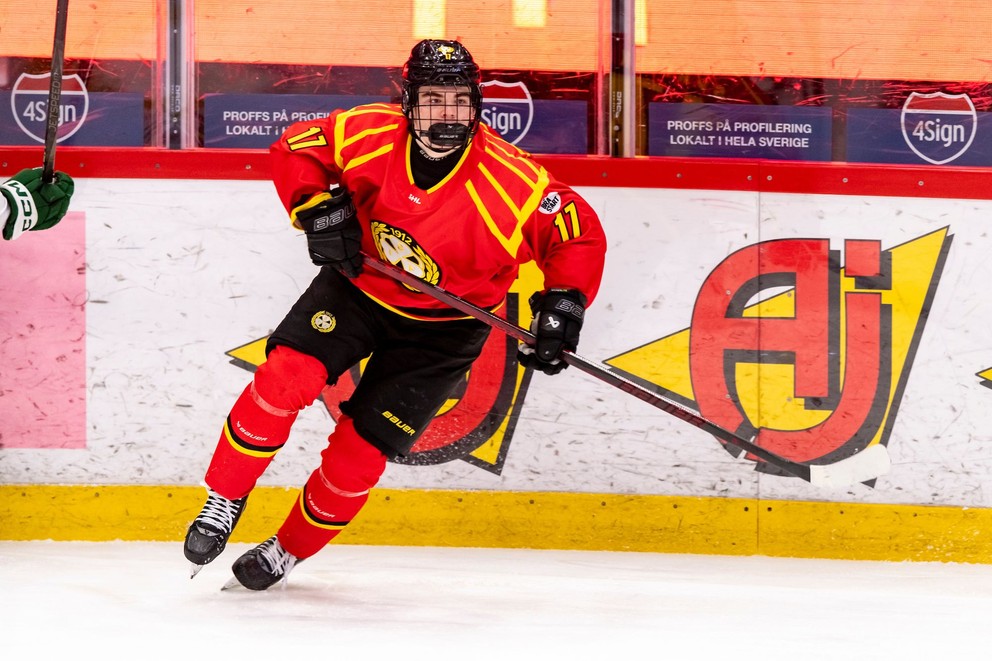 Slovenský útočník Michal Svrček v drese Brynäs IF.