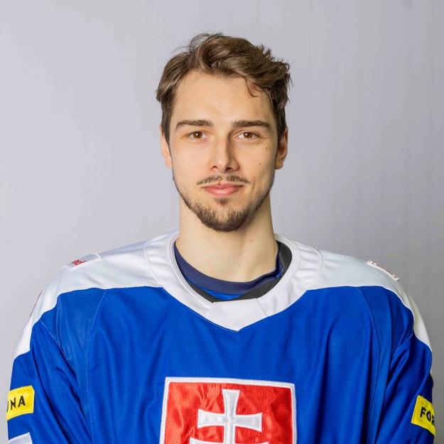 David Romaňák. 
