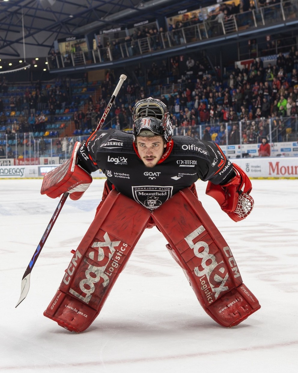 Stanislav Škorvánek.