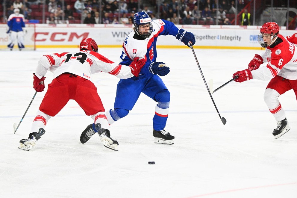 Slovenský kapitán Adam Goljer vo štvrťfinálovom zápase proti Dánsku.