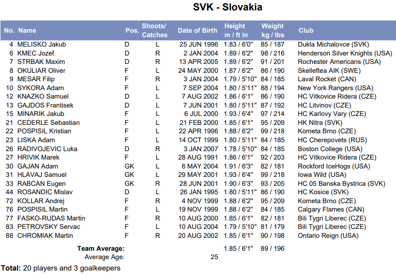 Súpiska Slovenska pre MS v hokeji 2026.